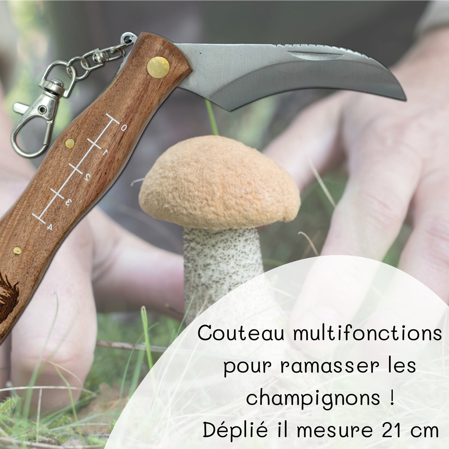 COUTEAU A CHAMPIGNONS - JE PEUX PAS J'AI CHAMPIGNON