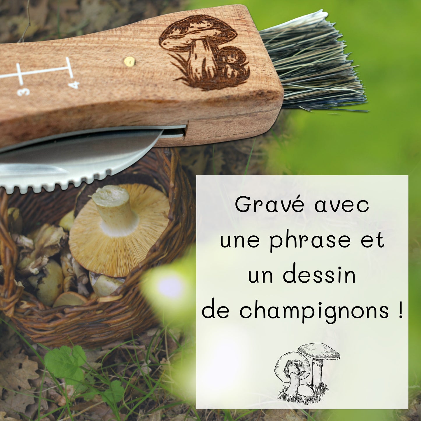 COUTEAU A CHAMPIGNONS - JE PEUX PAS J'AI CHAMPIGNON